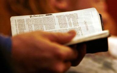 person holding bible