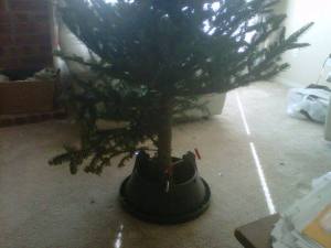 christmas tree_warped