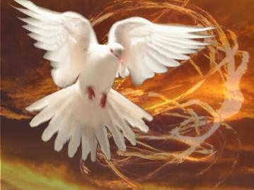pentecost dove